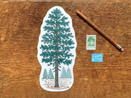 Pine Tree Postcard