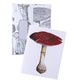 Vintage Mushrooms | Boxed Cards Of 8 Blank Cards