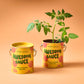 Complimentary Color Grow Kits