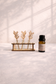 Tiny Plant Propagation Leaf Diffusers: No Essential Oil / Leafy Stems