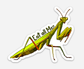 Eat All Men Praying Mantis Sticker