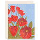 Spring Tulips - Boxed Set