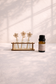 Tiny Plant Propagation Leaf Diffusers: No Essential Oil / Leafy Stems