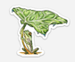 Frog and Leaf Sticker