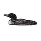 Common Loon Patch