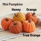 Colorful Knit Pumpkin Giftables Bowl Filler Tabletop