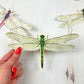 Dragonfly Illustrated Garland