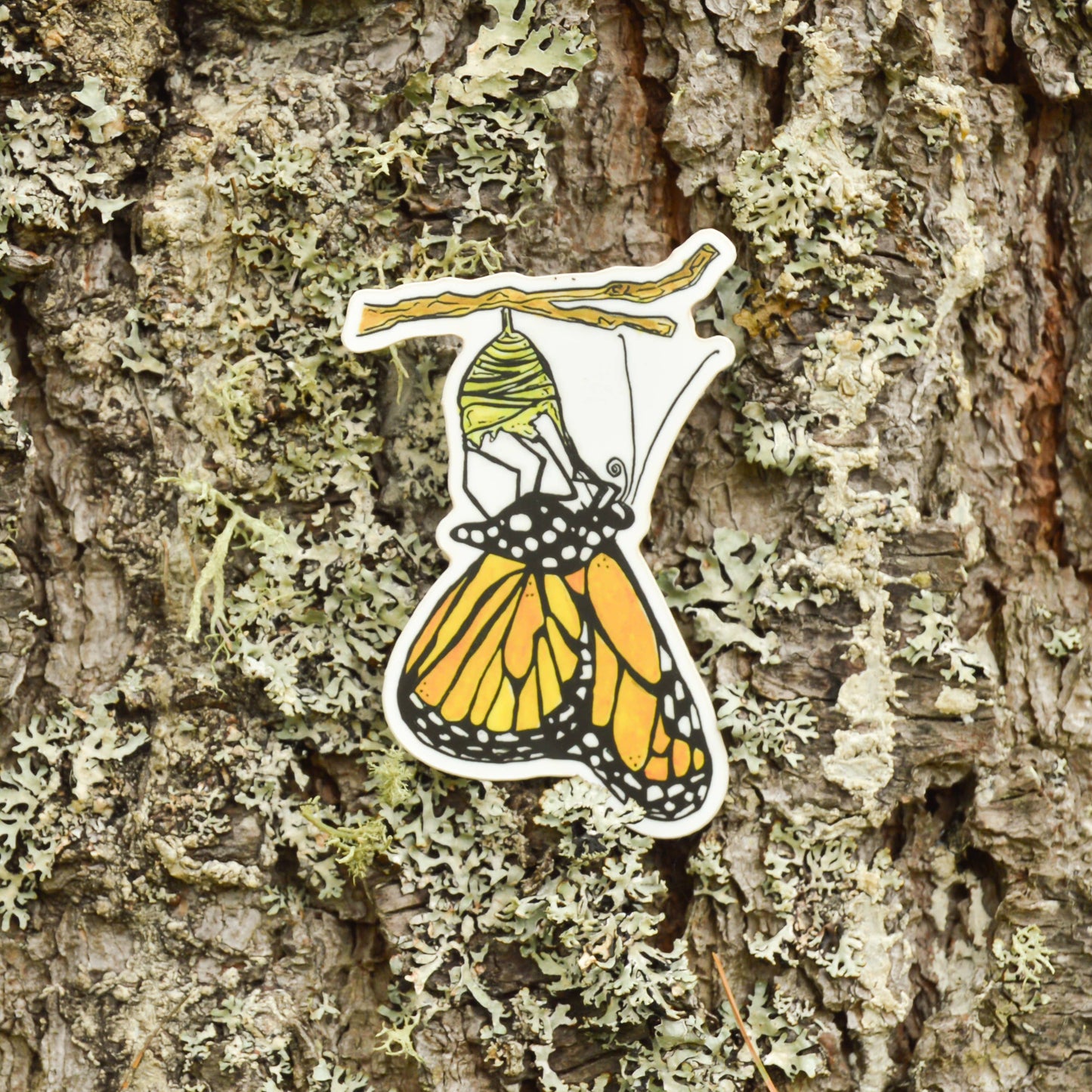 Monarch Butterfly Emerging Sticker