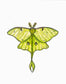 Luna Moth Sticker