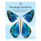 Flying Magic Butterfly® - Rainbow - Assorted Colors