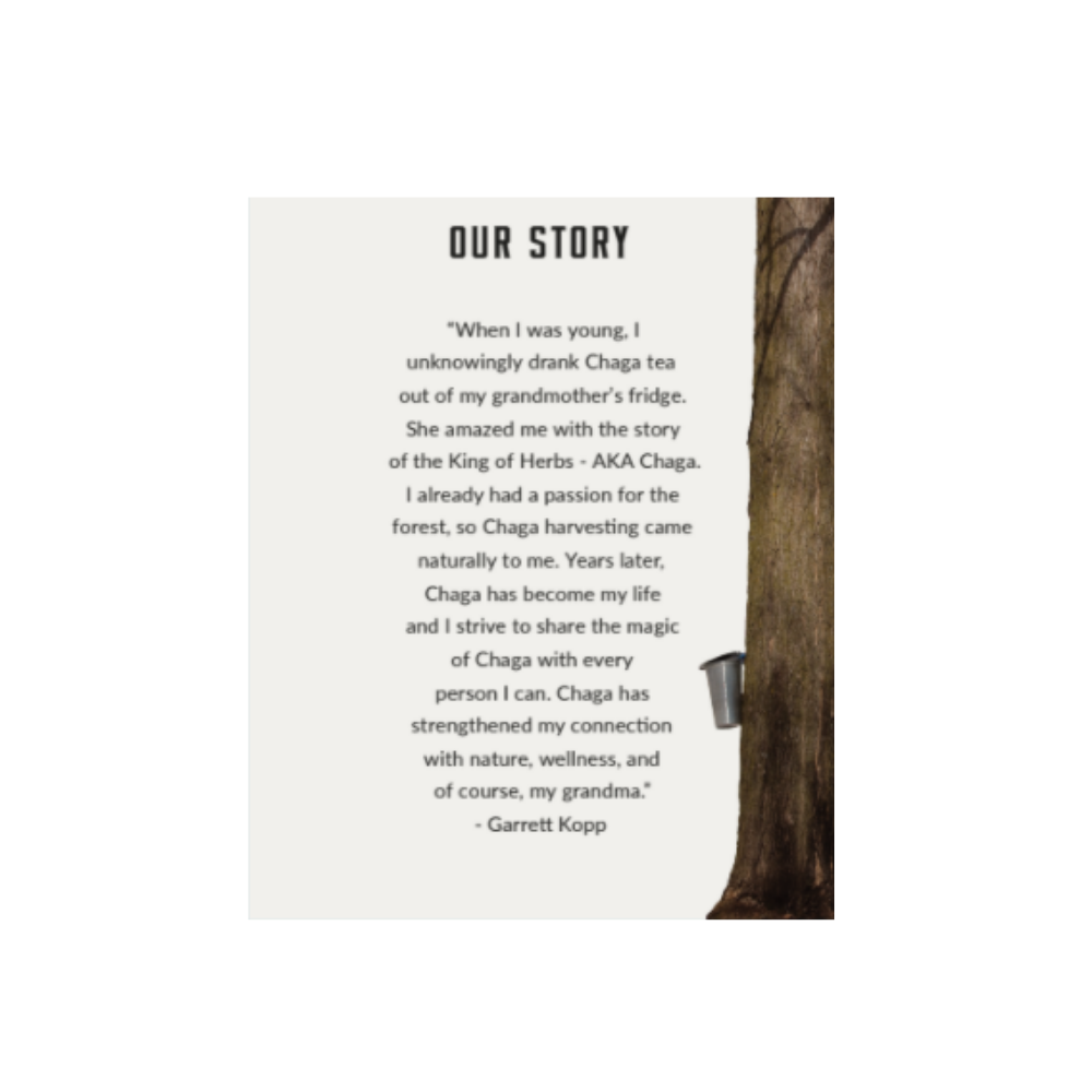 Maple Chaga Tea Bags