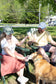 Saranac Lake Ball Cap - Bold