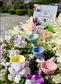 Bee Cups