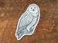 Snowy Owl Postcard