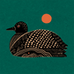 Loon (Teal)