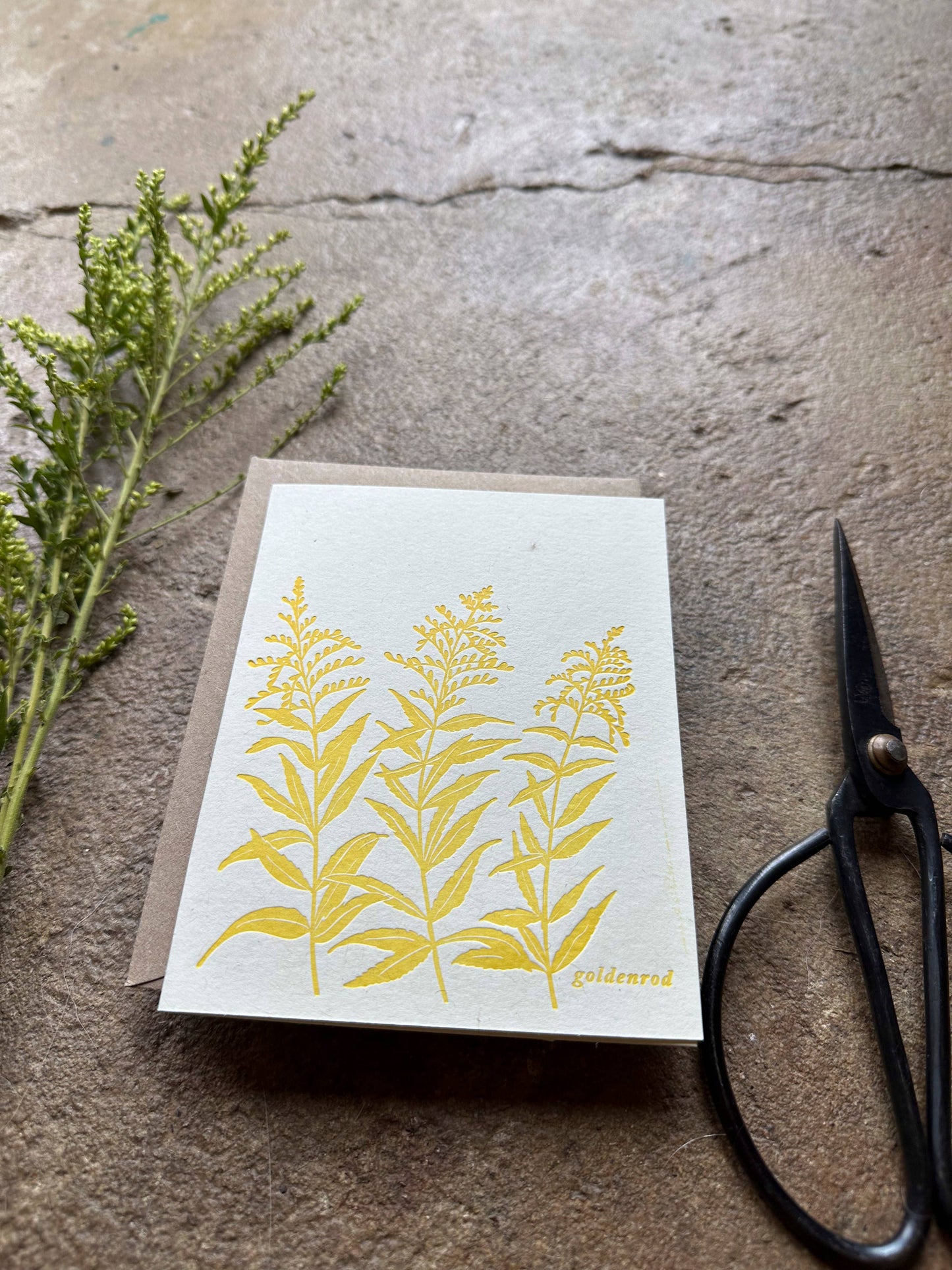 Goldenrod Late Summer Wildflower Letterpress Card