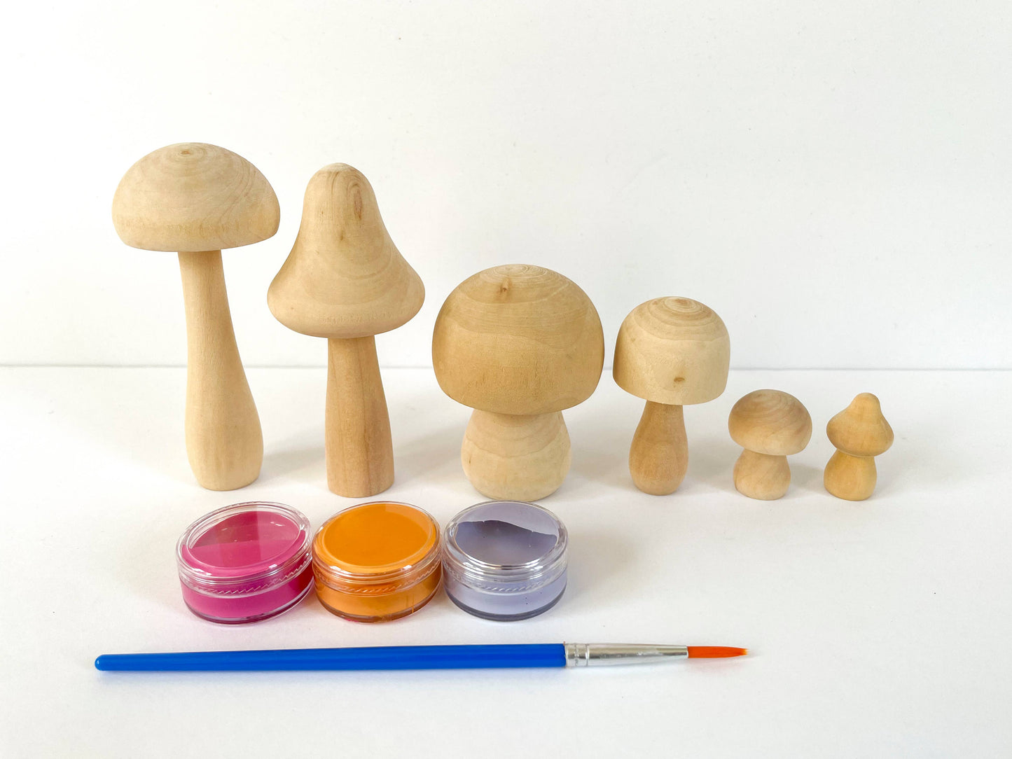 DIY Painted Mushroom Kit- bright