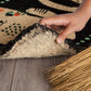 Danica Studio Meow Meow Coir Fiber Printed Doormat