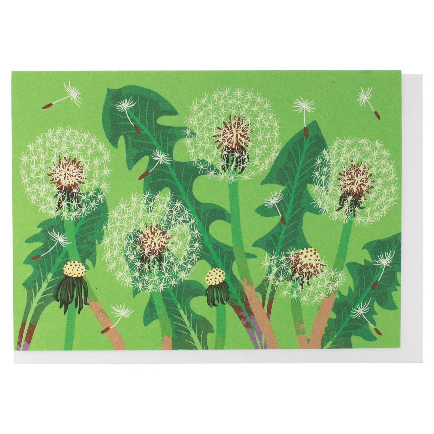 Assorted Springtime Florals Note Card Set