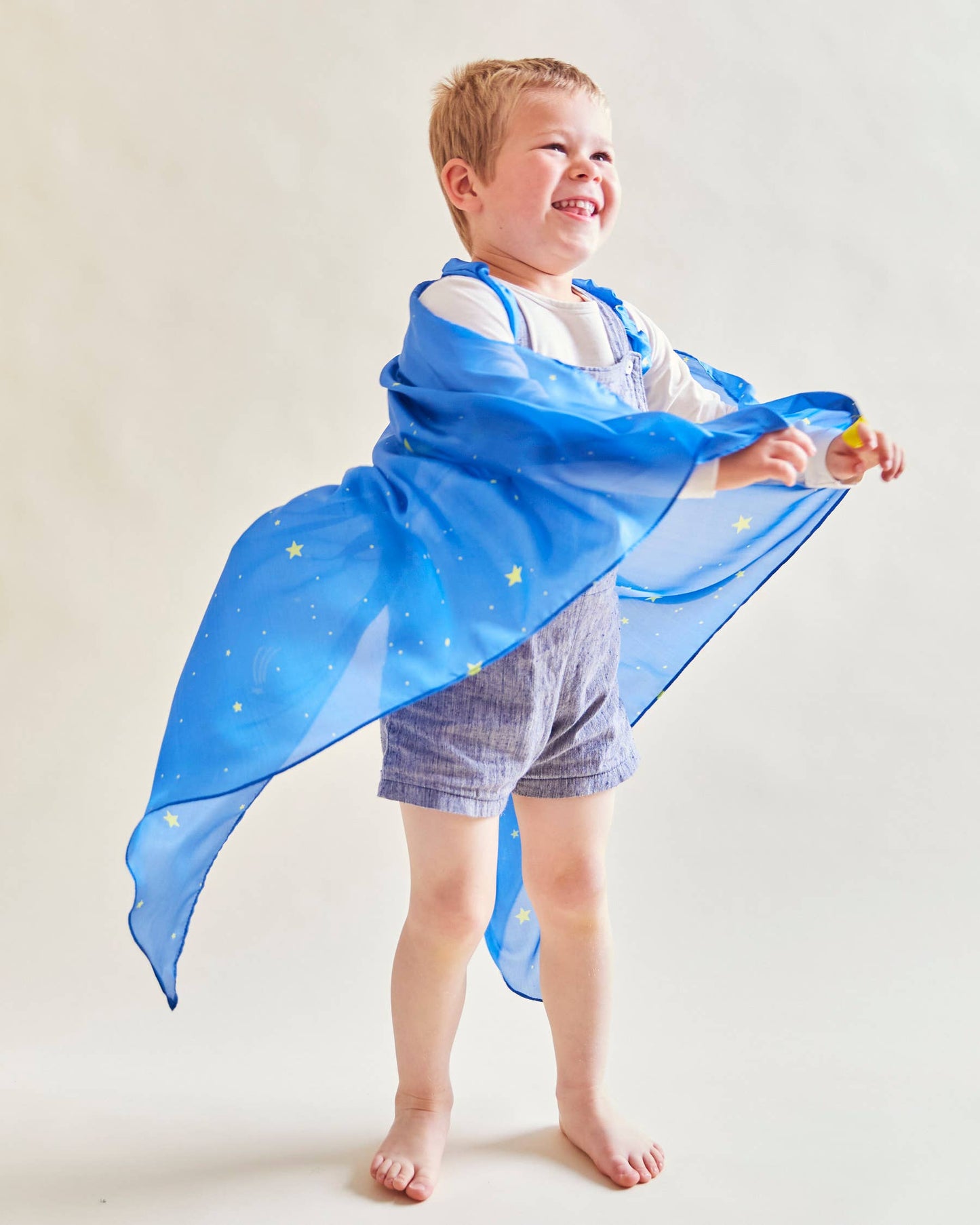 Silk Starry Night Wings - For Fairy Dress-Up Play