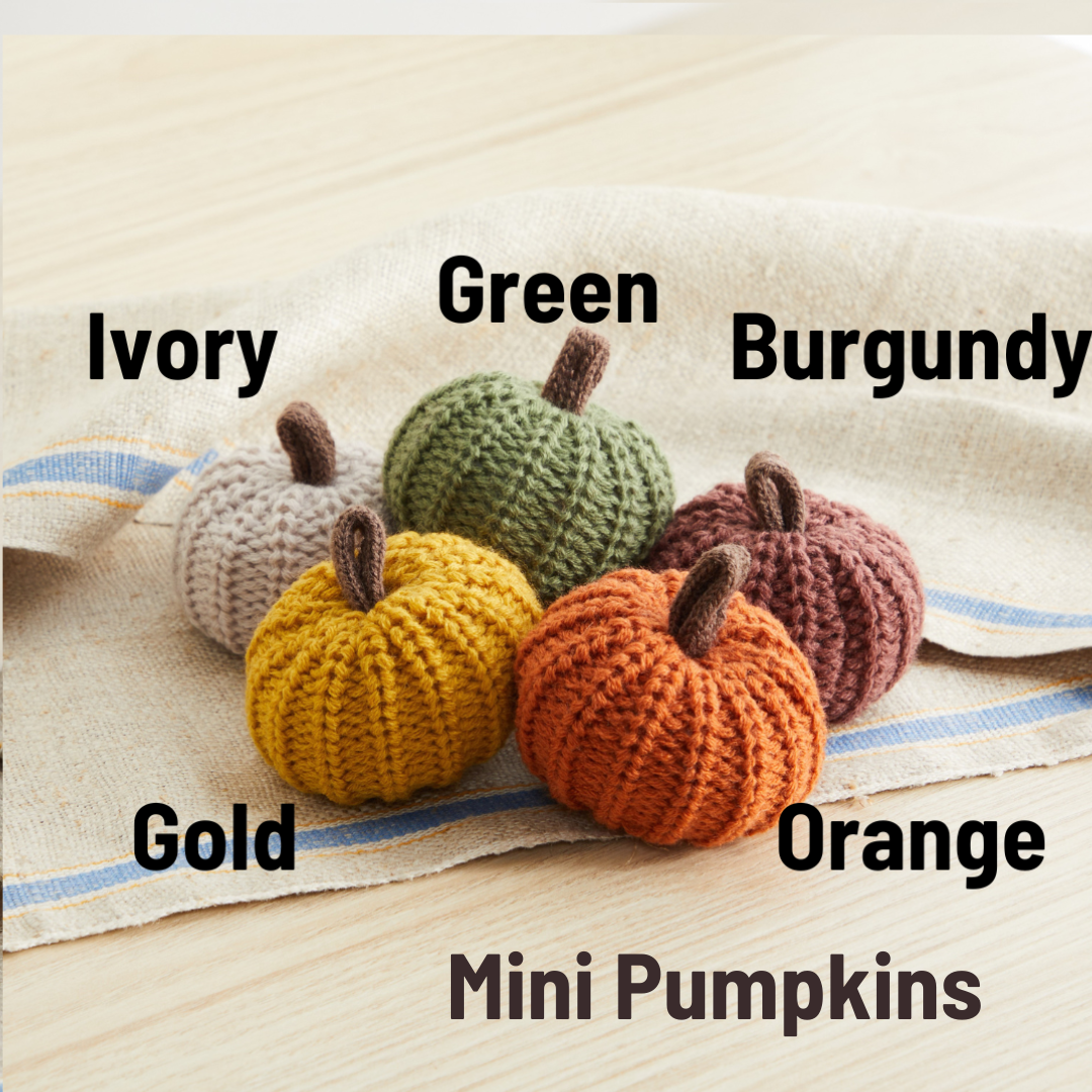 Colorful Knit Pumpkin Giftables Bowl Filler Tabletop