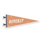 Saranac lake Pennant Sticker
