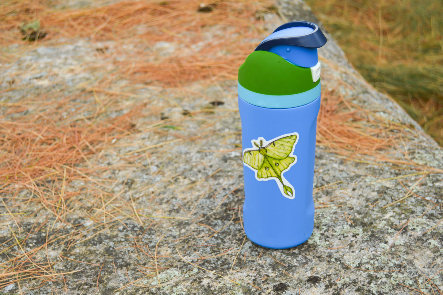 Luna Moth Sticker