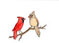 Cardinal Pair Sticker