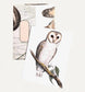 Boxed Set of 8 Vintage Owl Greeting Cards