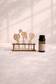 Tiny Plant Propagation Leaf Diffusers: No Essential Oil / Leafy Stems