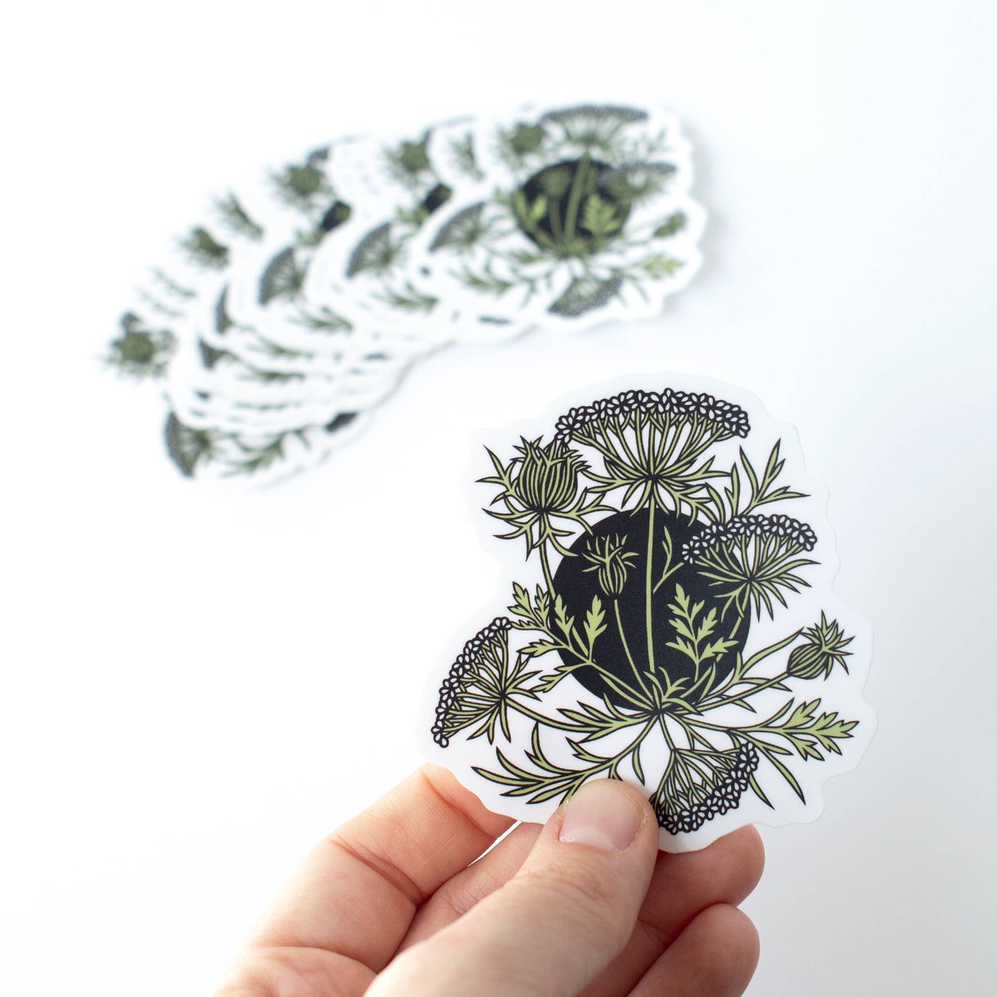 Queen Anne's Lace vinyl sticker