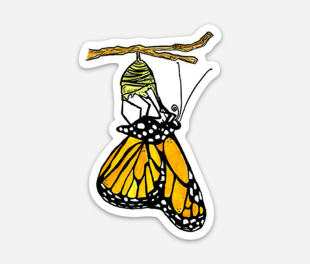 Monarch Butterfly Emerging Sticker