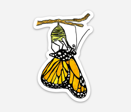 Monarch Butterfly Emerging Sticker