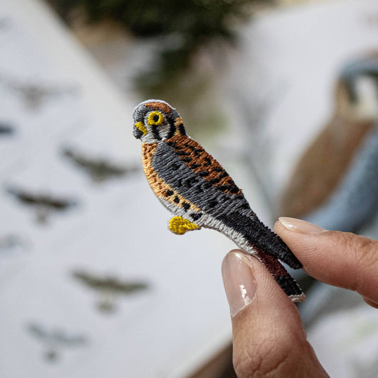 American Kestrel Patch