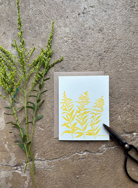 Goldenrod Late Summer Wildflower Letterpress Card