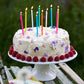 Rainbow Birthday Candles - 16 Pack | Cake Candle |