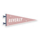 Saranac lake Pennant Sticker