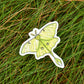Luna Moth Sticker