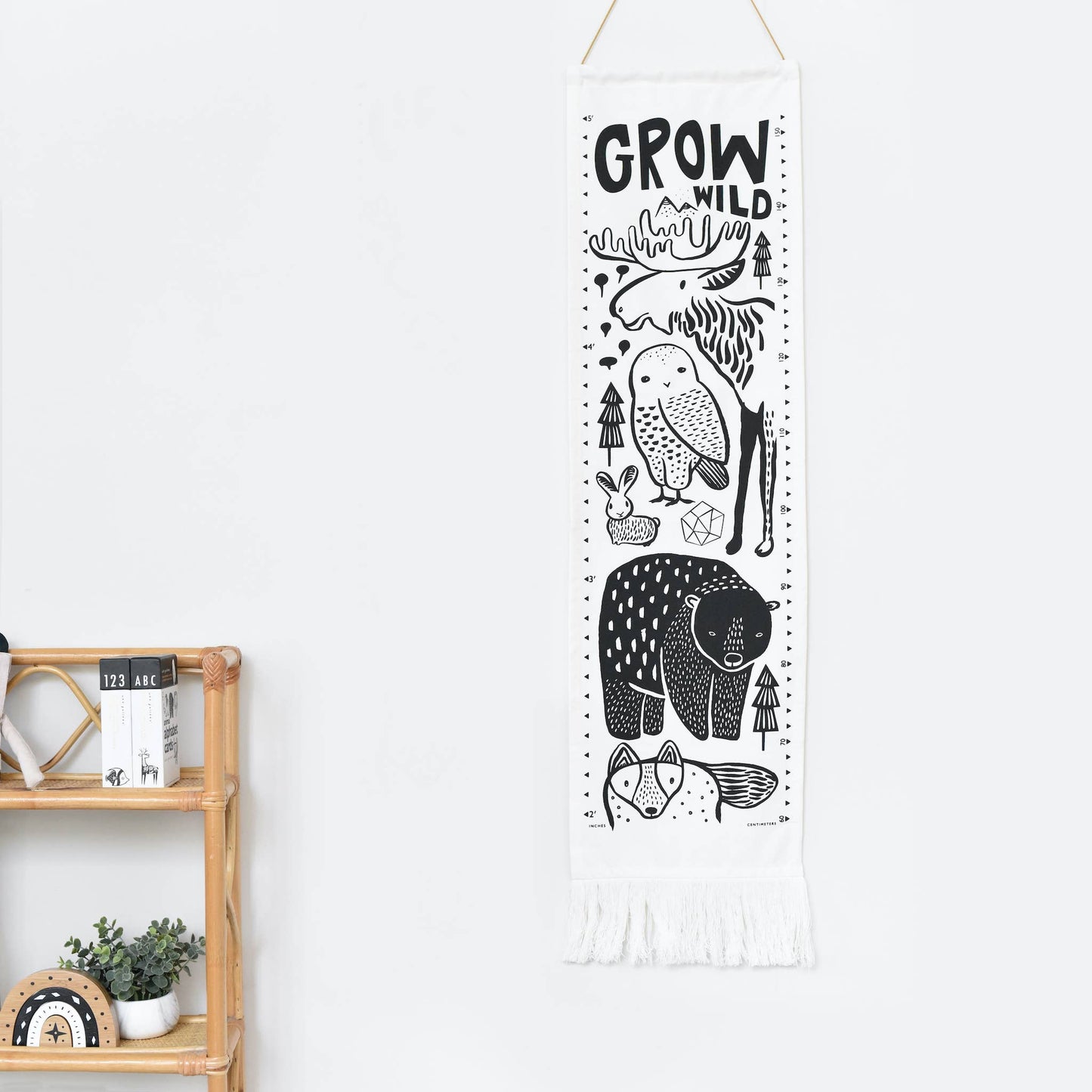 Nordic Canvas Growth Chart