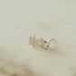 Butterfly Mini Studs