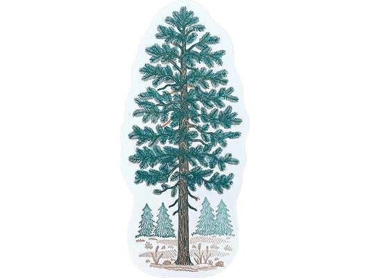 Pine Tree Postcard