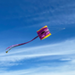 Pocket Parafoil Kite