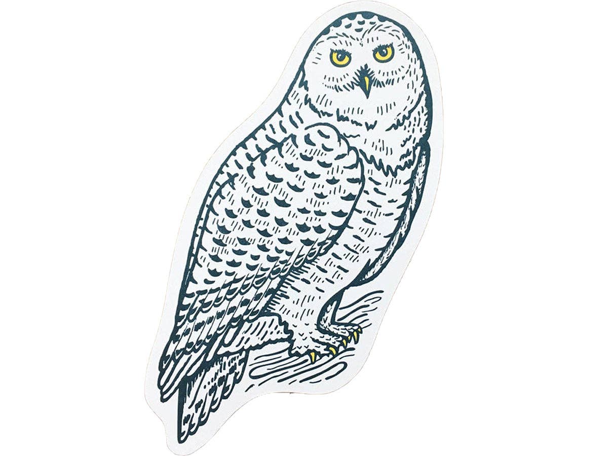 Snowy Owl Postcard