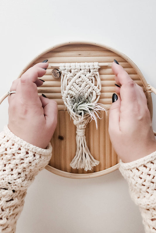 Mini Magnet Macrame Air Plant Holder