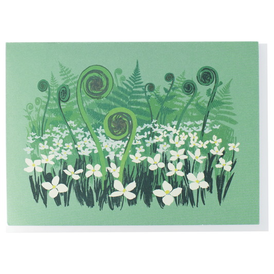 Fiddlehead Ferns Note Card